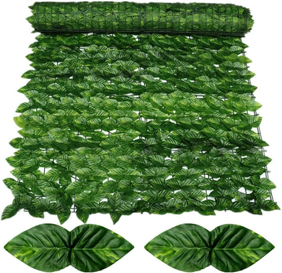 ivy screen